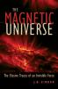 Magnetic Universe