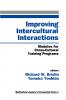 Improving Intercultural Interactions