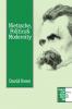 Nietzsche Politics and Modernity