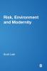 Risk Environment and Modernity