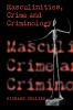 Masculinities Crime and Criminology