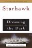 Dreaming the Dark