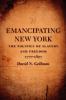 Emancipating New York