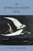 Appalachian Sea