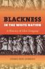 Blackness in the White Nation
