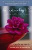 The Not So Big Life
