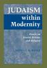 Judaism within Modernity