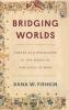 Bridging Worlds