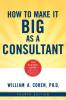 How to Make It Big as a Consultant