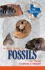 A Field Guide to Fossils of Texas