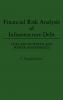 Financial Risk Analysis of Infrastructure Debt