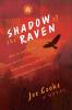 Shadow of the Raven
