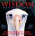 Wisdom the Midway Albatross