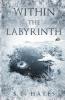 Within the Labyrinth