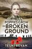Poppies Grow on Broken Ground