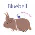 Bluebell