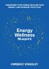 Energy Wellness Blueprint