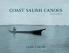 Coast Salish Canoes