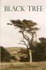 Black Tree