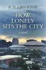 How Lonely Sits the City a novel