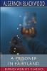 A Prisoner in Fairyland (Esprios Classics)
