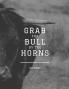 Grab the Bull by the Horns