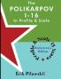 The Polikarpov I-16  In Profile & Scale