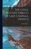 The Little Pottery Objects of Lake Chapala Mexico