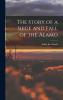 The Story of a Siege and Fall of the Alamo