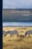 The Prodigal Calif