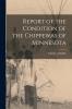 Report of the Condition of the Chippewas of Minnesota