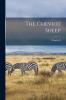 The Cheviot Sheep