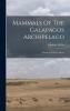Mammals Of The Galapagos Archipelago