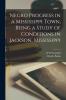 Negro Progress in a Mississippi Town Being a Study of Conditions in Jackson Mississippi