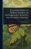Illustrations of North American Entomology (United States and Canada )