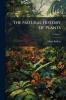 The Natural History Of Plants