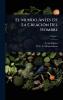 Mundo Antes De La CreaciÃ3n Del Hombre