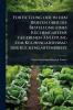 Fortsetzung der in den Briefen Ã1/4ber die Bestellung eines KÃ1/4chengartens gegebenen Anleitung zum KÃ1/4chengartenbau der KÃ1/4chengartenbriefe