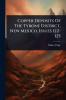 Copper Deposits Of The Tyrone District New Mexico Issues 122-125