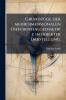 GrundzÃ1/4ge der mehrdimensionalen Differentialgeometrie in direkter Darstellung.