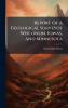 Report Of A Geological Surveyof Wisconsin Iowas And Minnesota