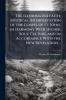 The Illuminated Faith; Mystical Interpretation of the Gospel of St. John in Harmony With Higher Soul Culture and in Accordance With the New Revelation ..