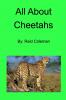All About Cheetahs