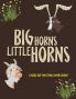 Big Horns Little Horns
