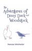 The Adventures of Daisy Duck and Woodstock