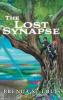 Lost Synapse