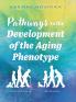 Pathways to the Development of the Aging Phenotype