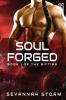 Soul Forged