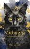 Midnight and Other Short Stories