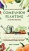 Ultimate Handbook to Companion Planting for Beginners
